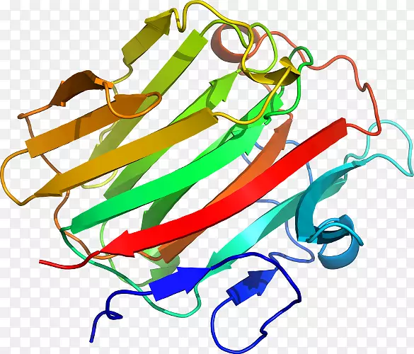 �ߵ������������-������