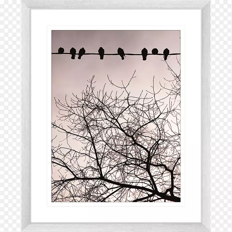 ���-SWA-������