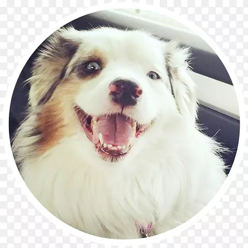 Ȯ�ְĴ���������Ȯͬ��Ȯ�����ԮС��-С��-������