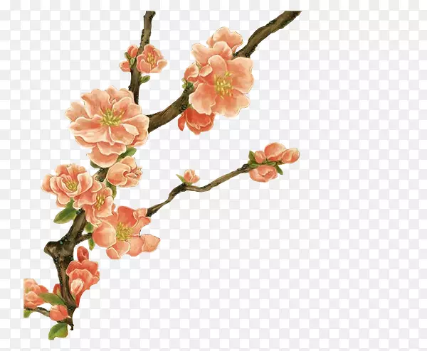 �廨����-÷��-������