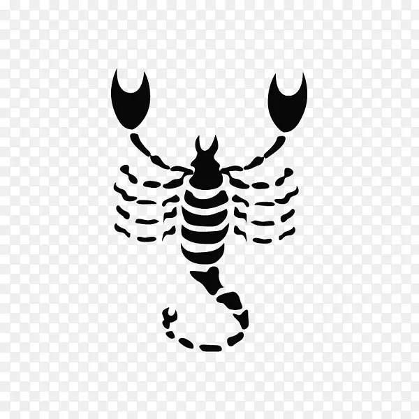 ����������-������