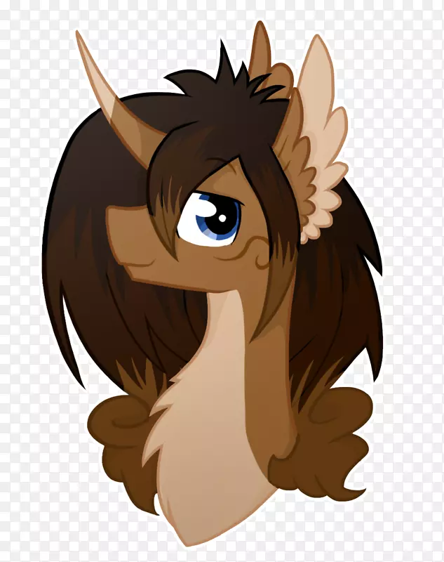 Ȯ�Ǽ�����-����-������