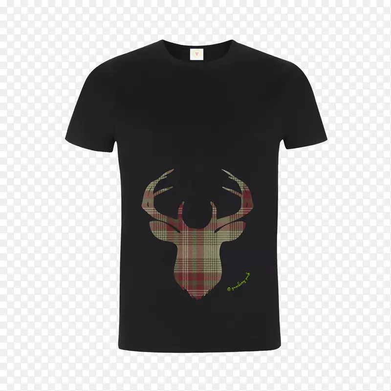 t��ʯ��������-������