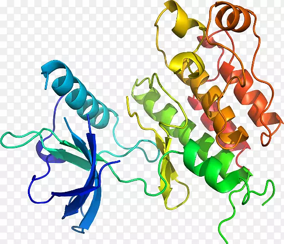 ���������л����߼�������-������