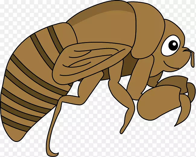 �����׳����������-��-������