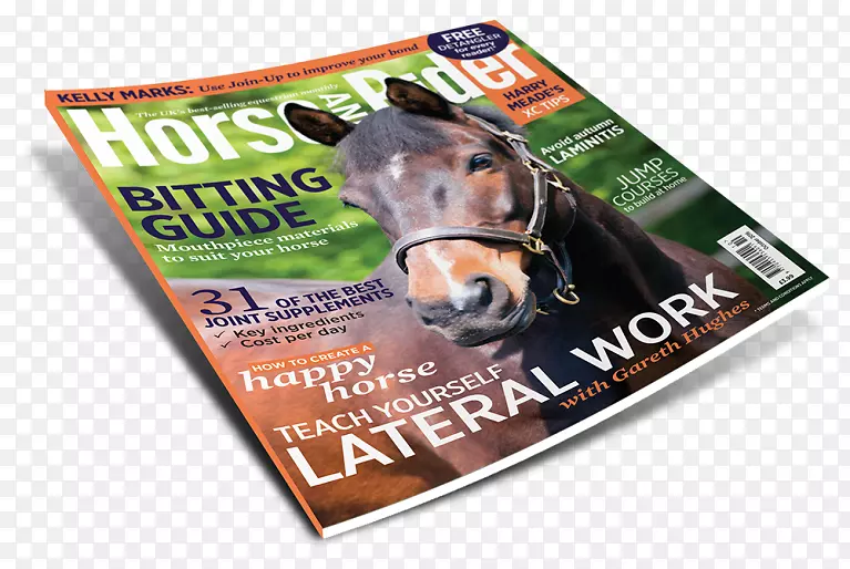 ��־Ʒ�Ʊ�������-������