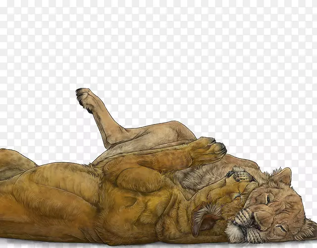 ���ж������Ұ������ľ��-������