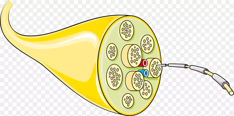 ���������鱦������.���-������