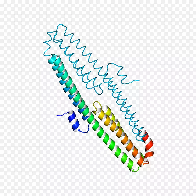 ֱ�ߵ����-������