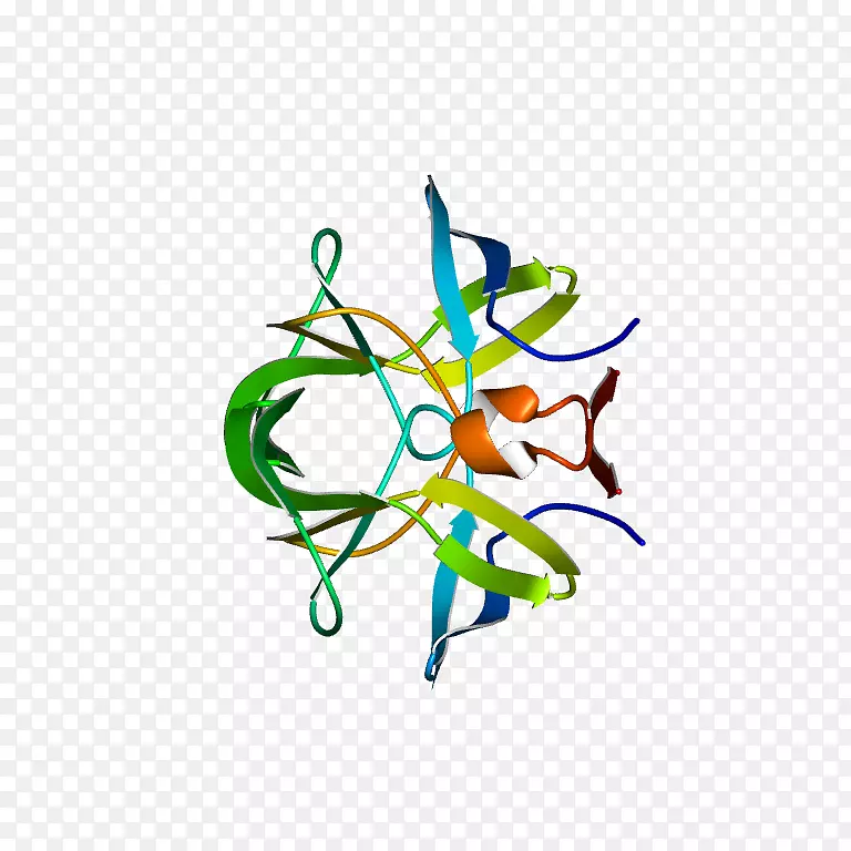 ������ƽ����Ƽ�������-������