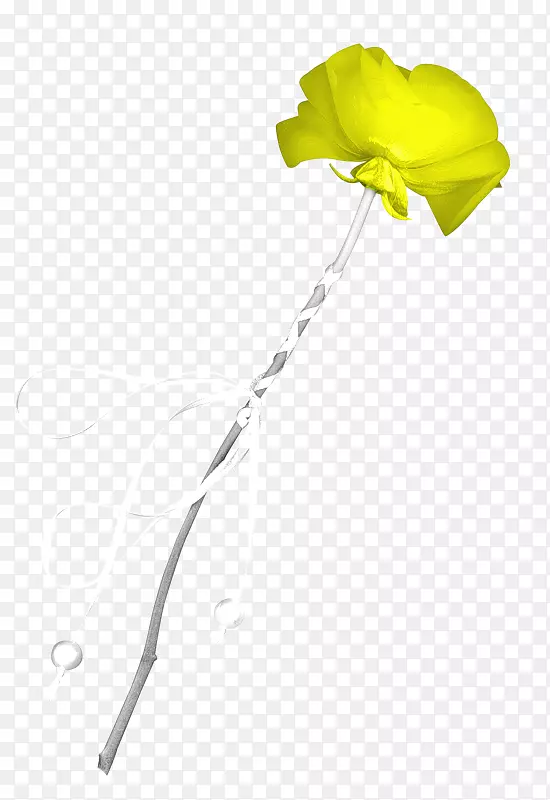 ���꿪��ֲ��Ҷ��Ҷ-������