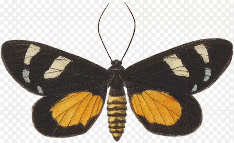 ��������ˢ��������������-������