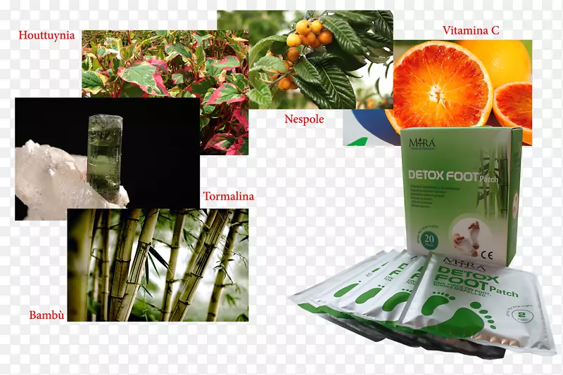 ����ǽ��ֽɭ������-����-������