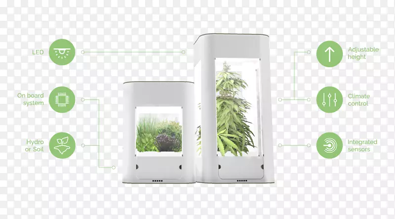 Ʒ�ƶ�ý�����-������