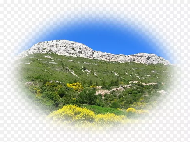 ���벩��ɽ��-ҩ��-������