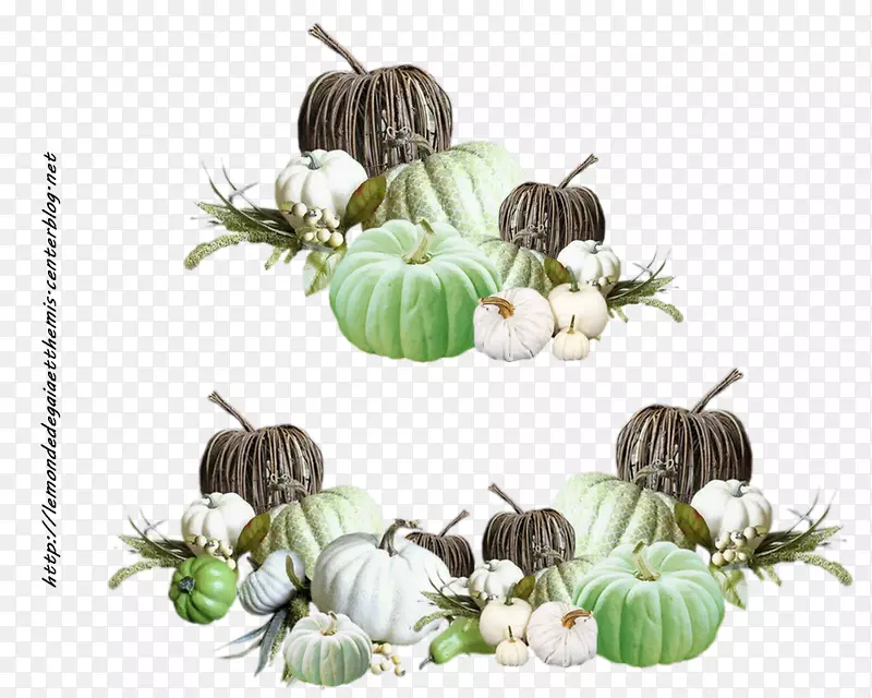 �Ϲ϶��������«�Ϲ�-������