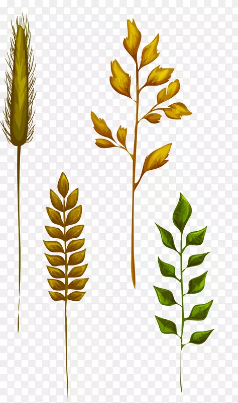 Ҷ�ݻ�ҶС��Ҷ-������