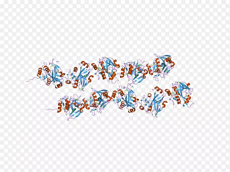 �ߵ����鱦������-������