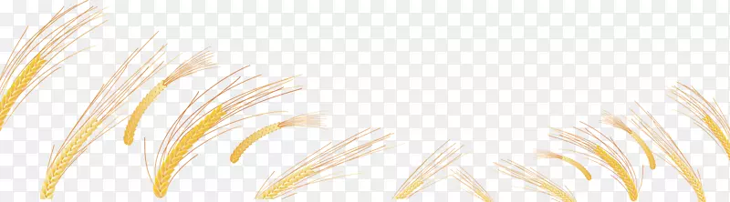 ��ɫ��������Ʒ�ݿ�.С���������-������