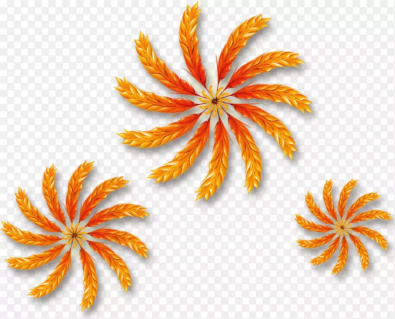 ���ս�С���ջ�-������