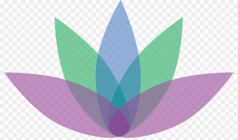 �����ֽ����Ҷ�͵���-������