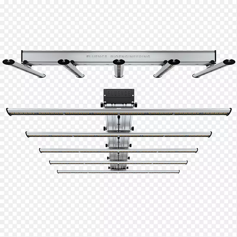 ��ŵӫ�������������������ȫ���׹�-���Ч��-������