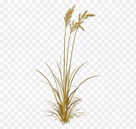 ����-����С��-������