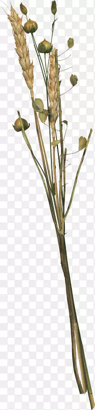 С��-С��-������