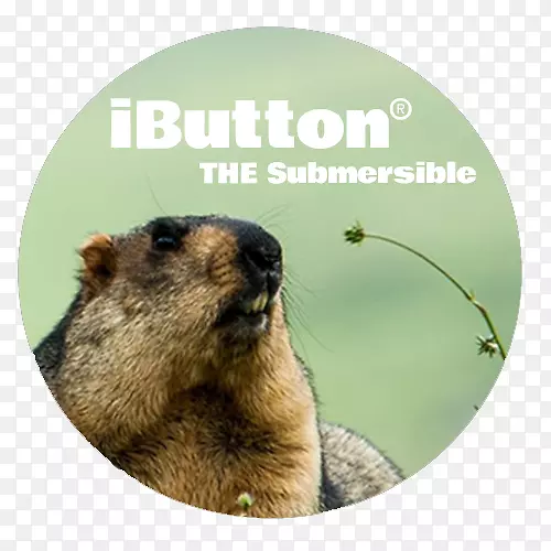 ʪ����Ȼ�����¶����ݼ�¼��.������-������