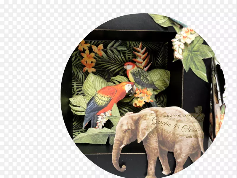 ӡ����Ұ��������Ⱥ½������Ӱ�Ӻ�-������