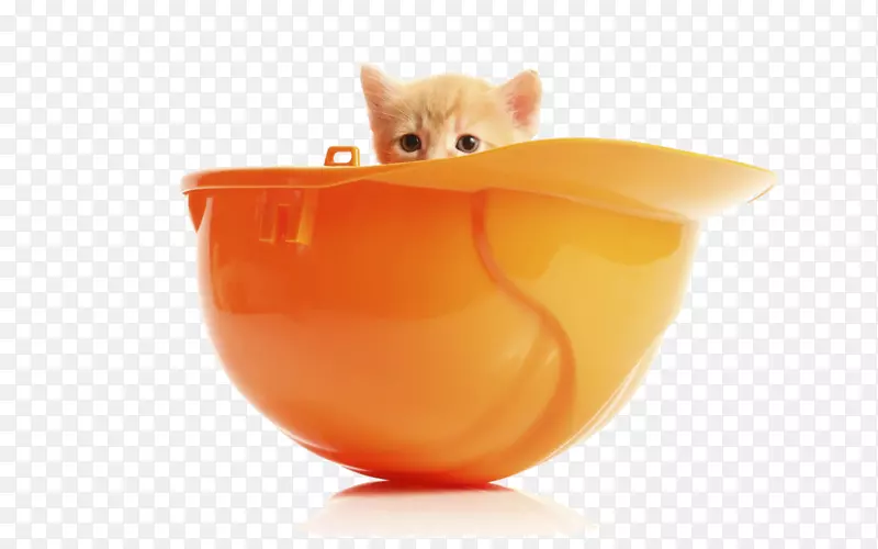 Сè��������è��������ɫèʳè��-������