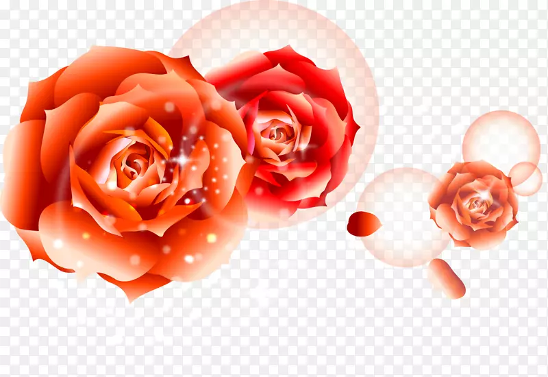 ���յ��⣬ũ�����꣬ף�����տ��֣�ϰ�׺���ף�-õ�廨-������