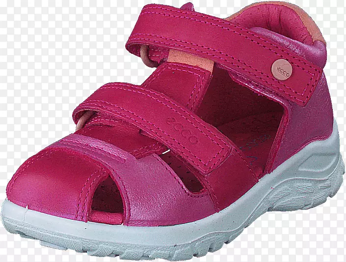 ��Ь����ѵ����Ь-������