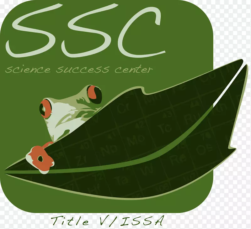 ��ɼ��ʹ����ѧ��ѧ�ɹ����İ�����������ѧϰ����-������