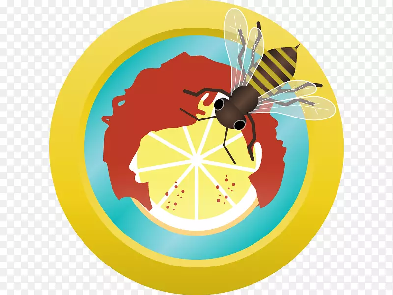 ���������-����-������