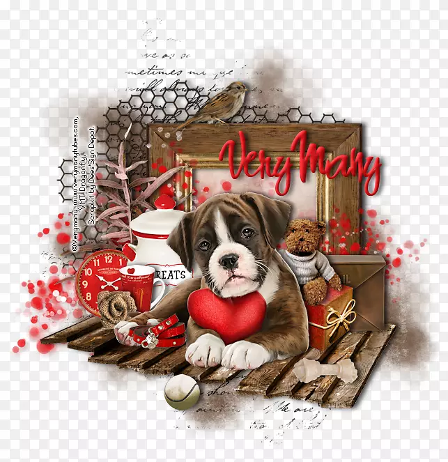 Ȯ��С����ʥ����Ʒ-С��-������