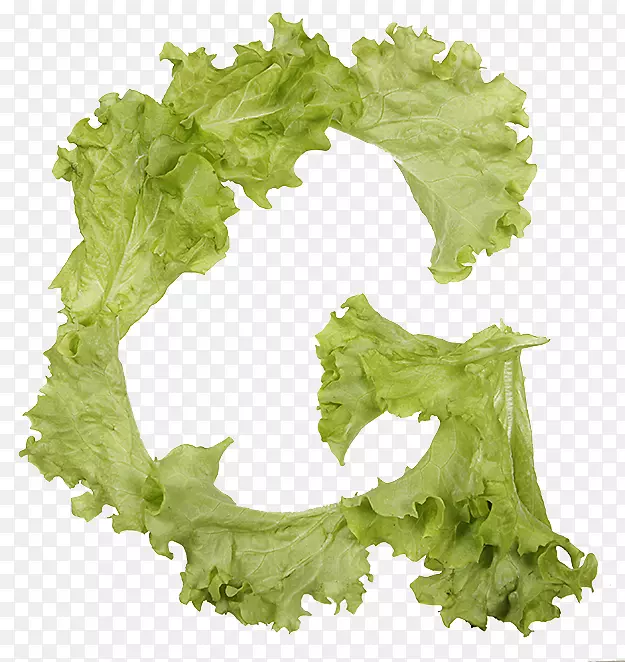 ���������߲�����ʳƷ��ĸ-������