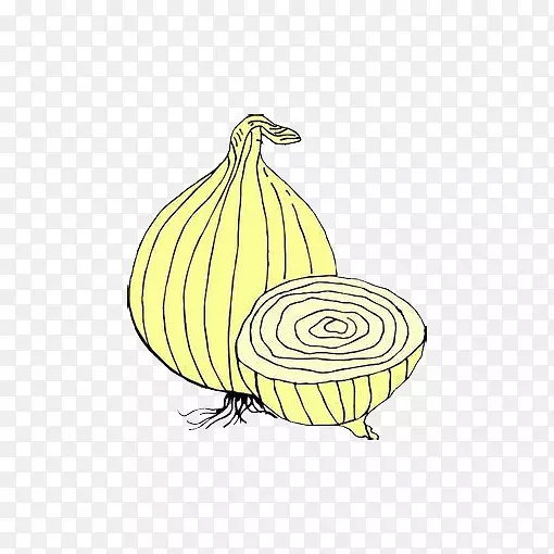 ����߲�-��ͨ�߲�-������