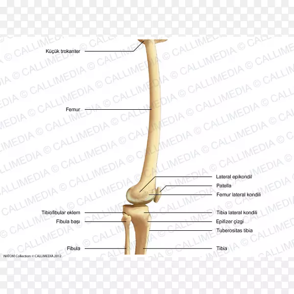 ���������-������