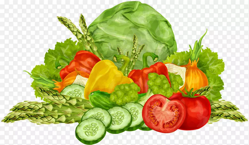 �л�ʳƷ��Ҷ�ˡ�ˮ���ḻ���߲�-������