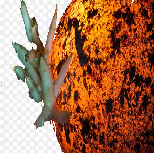 �����ֽ-��һ�߲�-������