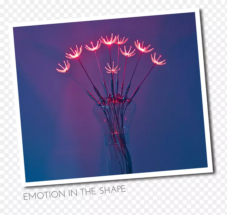 �����ֽ������յ���-������