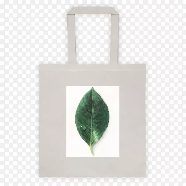 �������Ҷ������-������