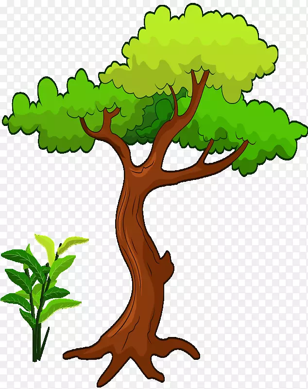 ���벩�ͼ�����-BD-������