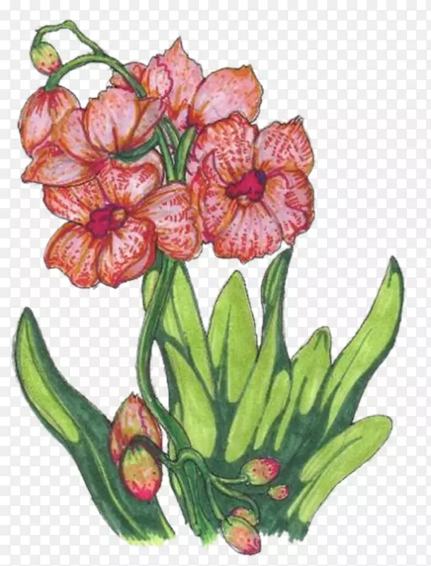 ��������л�ֲ�ﻨ��-����-������