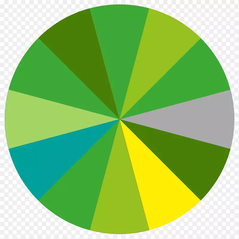 ��ɫ���뼼������־-���-������