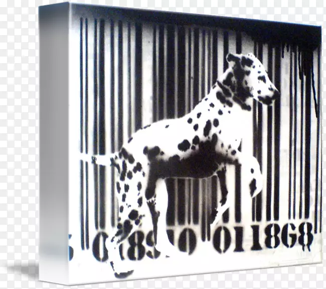 ���������Ȯ���˶�����-��ɫ������-������