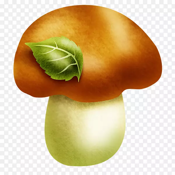 ��ȻʳƷ�߲���ʳʳƷ�߲�-������