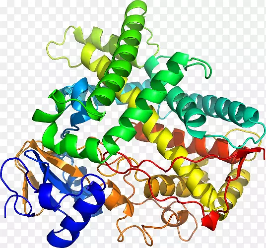 ���������л����߼�������-������