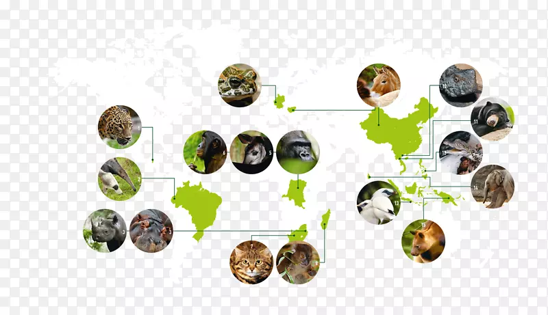 �����鱦-�����˹��2 Makunga-������